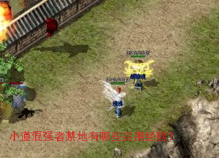 小道混强者禁地有哪些实用经验? 小道混强者禁地有哪些实用经验?