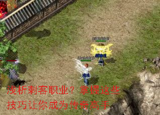 浅析刺客职业?掌握这些技巧让你成为传奇高手 浅析刺客职业?掌握这些技巧让你成为传奇高手