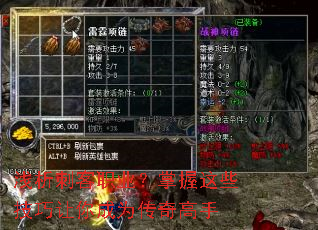 浅析刺客职业?掌握这些技巧让你成为传奇高手 浅析刺客职业?掌握这些技巧让你成为传奇高手