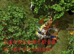 ħ˽ĸְҵǿѡʲôְҵã