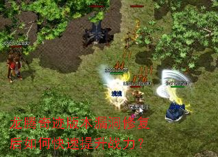 龙腾奇迹版本漏洞修复后如何快速提升战力? 龙腾奇迹版本漏洞修复后如何快速提升战力?