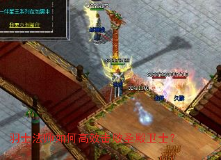 羽士法师如何高效击败圣殿卫士? 羽士法师如何高效击败圣殿卫士?