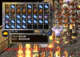 羽士法师如何高效击败圣殿卫士? 羽士法师如何高效击败圣殿卫士?