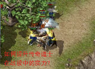 如何提升传奇道士在战役中的实力? 如何提升传奇道士在战役中的实力?