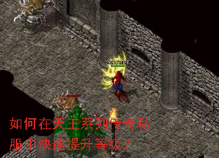 如何在天王系列传奇私服中快速提升等级? 如何在天王系列传奇私服中快速提升等级?