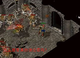 虎头腰带真的很垃圾吗? 虎头腰带真的很垃圾吗?