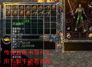 传奇技能书有什么用?新手必看攻略 传奇技能书有什么用?新手必看攻略