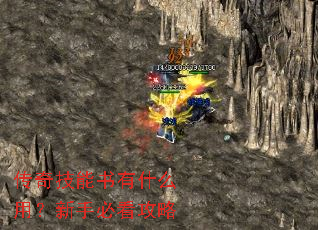传奇技能书有什么用?新手必看攻略 传奇技能书有什么用?新手必看攻略