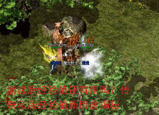 满级后经验值还有用吗?传奇私服经验值新用途揭秘 满级后经验值还有用吗?传奇私服经验值新用途揭秘