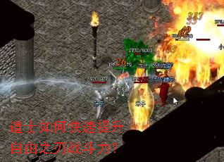 道士如何快速提升自由之刃战斗力? 道士如何快速提升自由之刃战斗力?