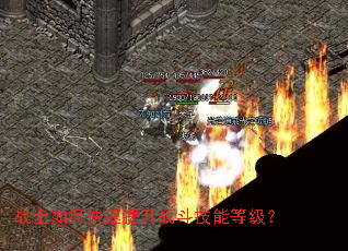 战士如何快速提升战斗技能等级? 战士如何快速提升战斗技能等级?