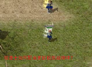 双道士如何配合更轻松挑战咆哮? 双道士如何配合更轻松挑战咆哮?