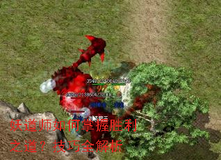 妖道师如何掌握胜利之道?技巧全解析 妖道师如何掌握胜利之道?技巧全解析