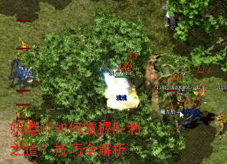 妖道师如何掌握胜利之道?技巧全解析 妖道师如何掌握胜利之道?技巧全解析