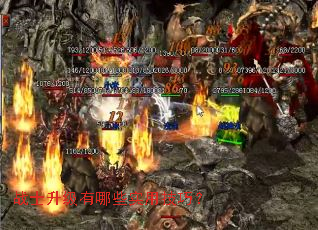 战士升级有哪些实用技巧? 战士升级有哪些实用技巧?