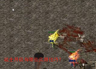 战士升级有哪些实用技巧? 战士升级有哪些实用技巧?