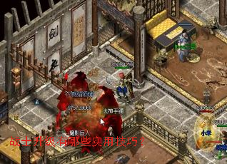 战士升级有哪些实用技巧? 战士升级有哪些实用技巧?