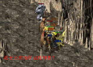 战士玩家如何战胜神兽? 战士玩家如何战胜神兽?