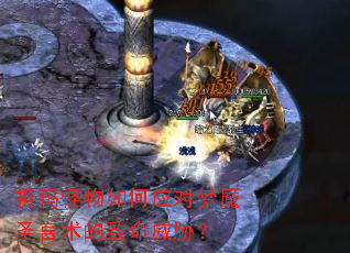 ����������Ӧ������ʥ������������в��