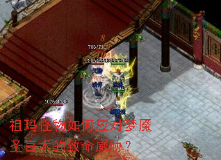 ����������Ӧ������ʥ������������в��