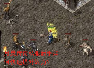 月灵传奇私服新手如何快速提升战力? 月灵传奇私服新手如何快速提升战力?
