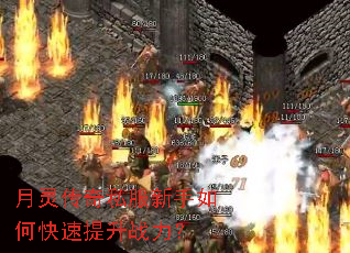 月灵传奇私服新手如何快速提升战力? 月灵传奇私服新手如何快速提升战力?