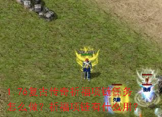 1.76���Ŵ�����������������ô��������������ʲô�ã�