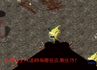 ����սʿPK��ʦ����Щʵ�ü��ɣ�