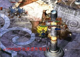 sf999��ο��������ȼ���