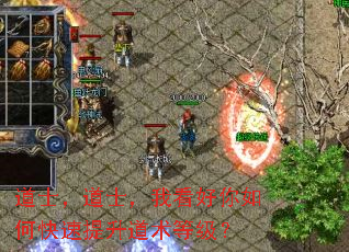 ��ʿ����ʿ���ҿ�������ο������������ȼ���