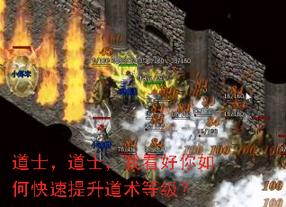 ��ʿ����ʿ���ҿ�������ο������������ȼ���