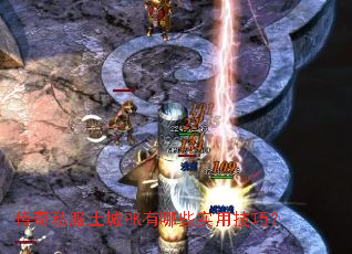 ����˽������PK����Щʵ�ü��ɣ�