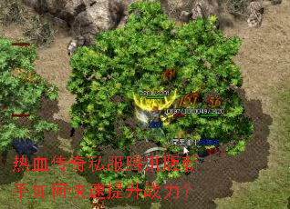 热血传奇私服腾讯版新手如何快速提升战力? 热血传奇私服腾讯版新手如何快速提升战力?