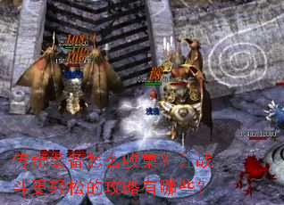 ����װ����ô�ռ�����ս�������ɵĹ�������Щ��