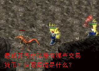 ���¿�����˽������Щ���׻��ң���ȡ������ʲô��