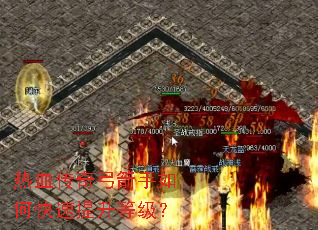 ��Ѫ���湭������ο��������ȼ���