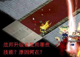 ��ʦ���������Щ���ܣ�ԭ����ڣ�