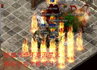 ��Ѫ�����������ǻ�����ټ�����ѧϰ��