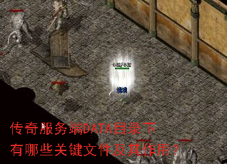 传奇服务端DATA目录下有哪些关键文件及其作用? 传奇服务端DATA目录下有哪些关键文件及其作用?