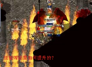 技能等级是如何提升的? 技能等级是如何提升的?