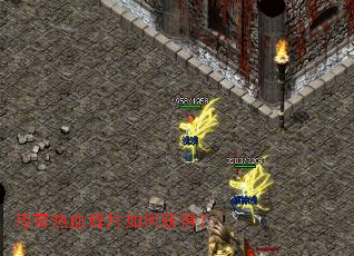 ������Ѫ��Ƭ��λ�ã�