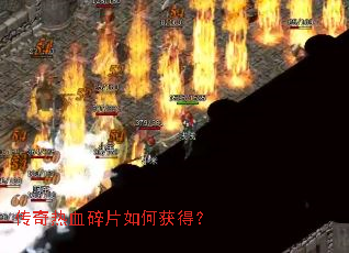 ������Ѫ��Ƭ��λ�ã�