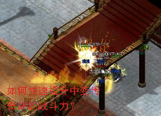 ��ο��������б䴫��SF��ս������