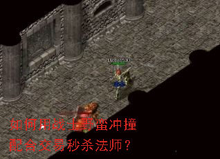 �����սʿҰ����ײ��Ͻ�����ɱ��ʦ��