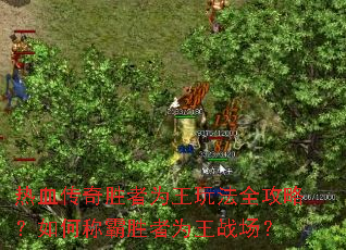 ��Ѫ����ʤ��Ϊ���淨ȫ���ԣ���γư�ʤ��Ϊ��ս����