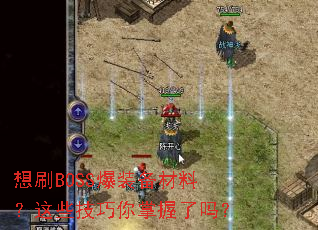 ��ˢBOSS��װ�����ϣ���Щ��������������