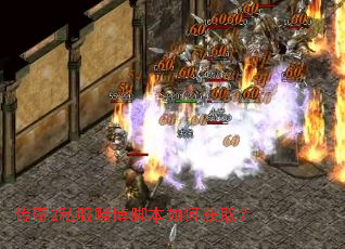 ����2˽���Ĳ��ű���λ�ȡ��