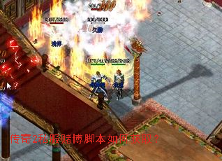 ����2˽���Ĳ��ű���λ�ȡ��