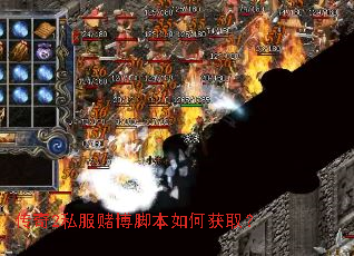 ����2˽���Ĳ��ű���λ�ȡ��