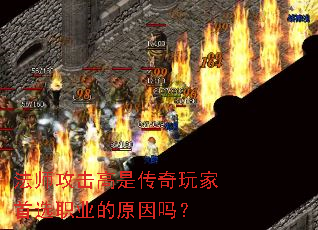 ��ʦ�������Ǵ��������ѡְҵ��ԭ����